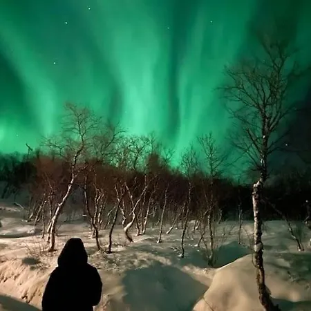 아파트 Leilighet Med Utsikt!